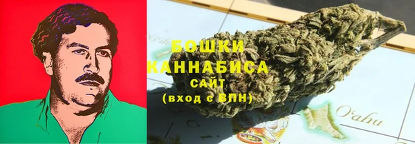 дмт Арсеньев