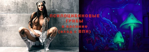 дмт Арсеньев