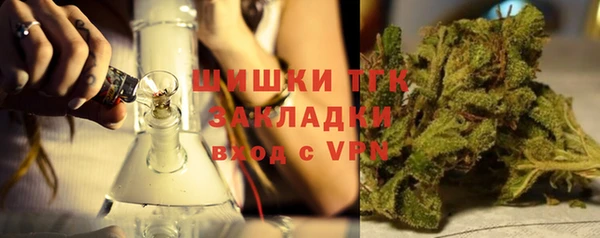 дмт Арсеньев