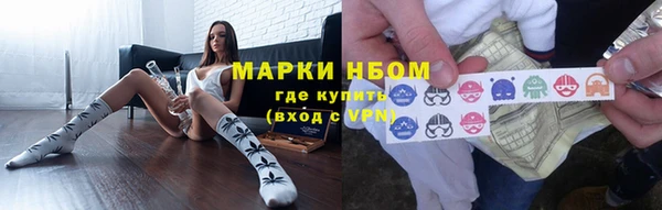 прущие грибы Армянск